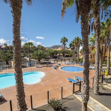 Lightbooking Oasis Royal Corralejo F311 외부 사진
